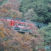 出山鉄橋を渡る登山電車