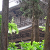 北鎌倉DSC_0006