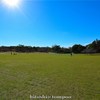 奈良公園0759_01