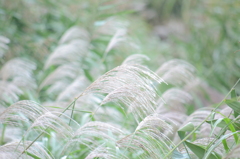 山田池公園にて