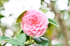 公園にて