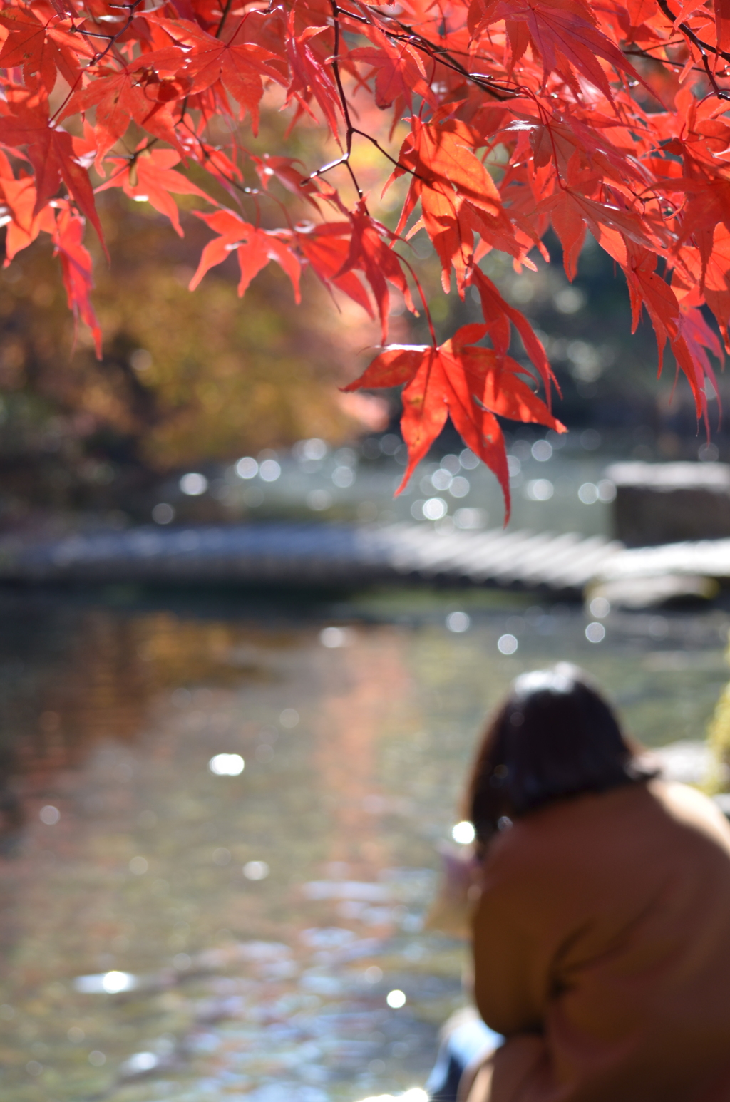 紅葉