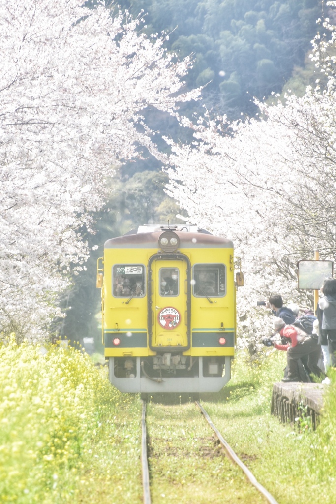 里山の駅