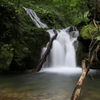 おいしい水を育む森5