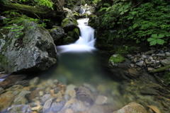 おいしい水を育む森3