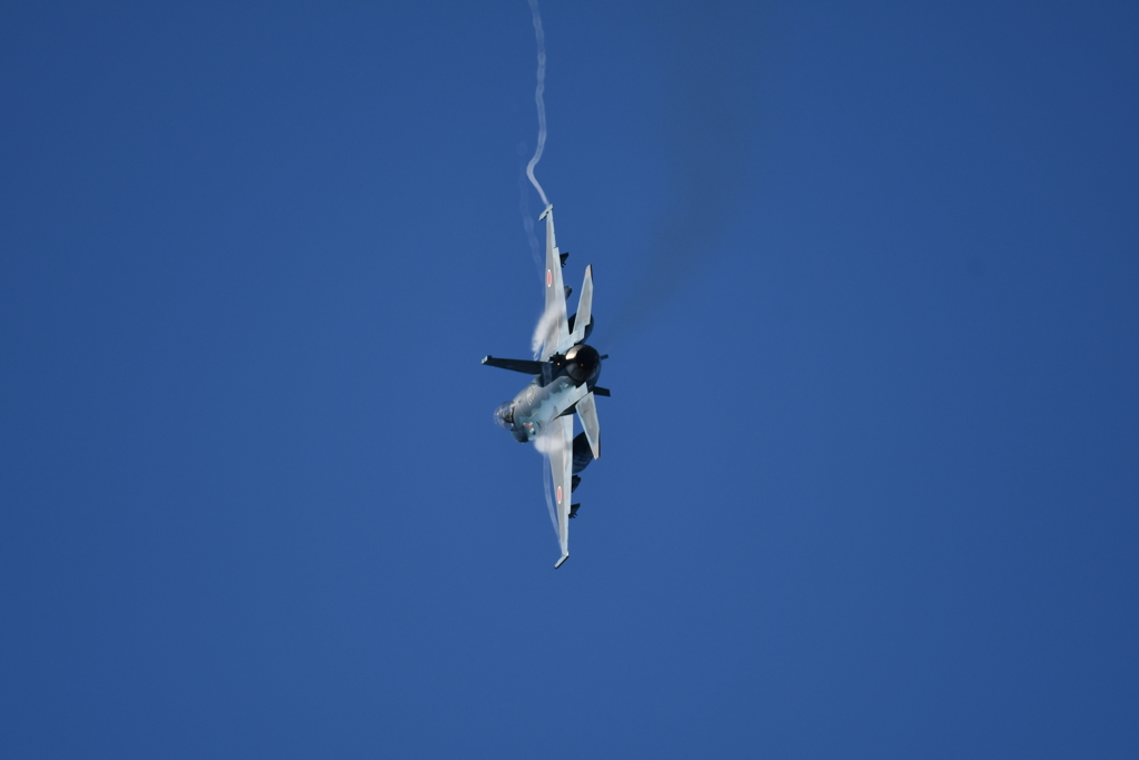 DSC_1399