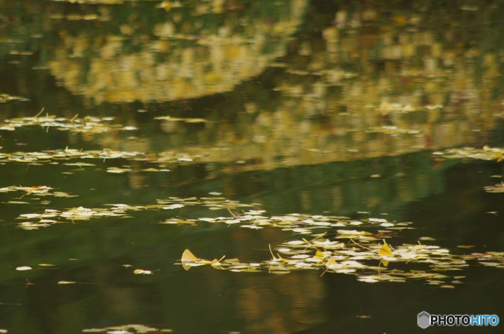 水鏡　IMGP5846-トリミング