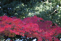 東大寺③