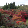 初秋③