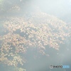A4ED8D58-D2E8-4D30-8631-DC4967D635E1
