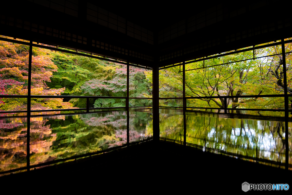 瑠璃光院　秋の特別拝観