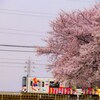 いい季節になりましたね