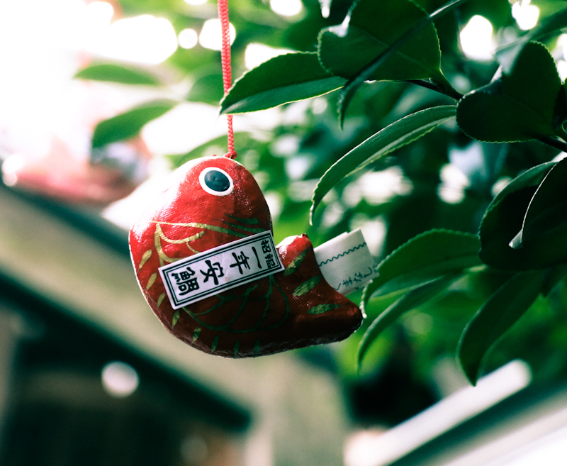 あいたい