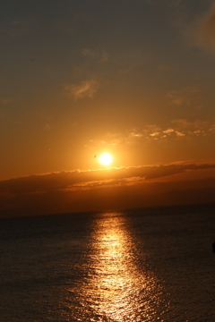 20161206175627_IMG_5968