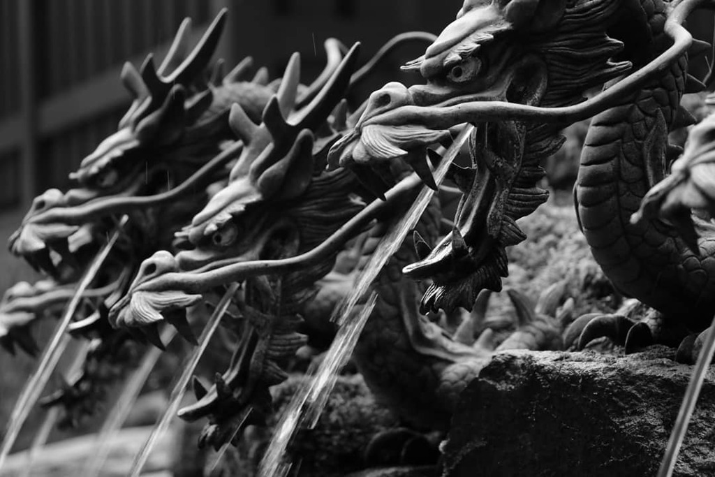 IMG_20190217_210439_759