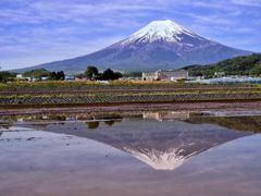 田んぼの逆さ富士