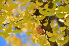 20181101