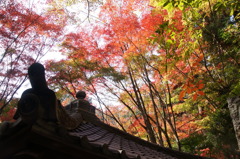 三瀧寺の紅葉