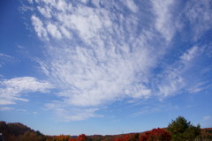 晩秋の陽だまり②