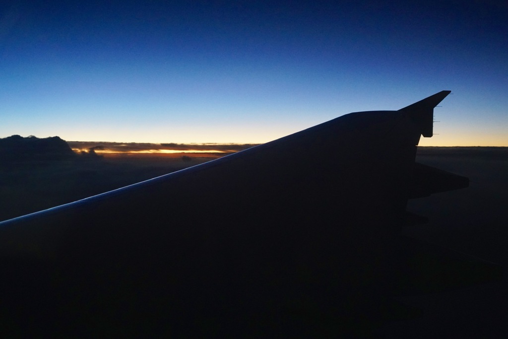 flight