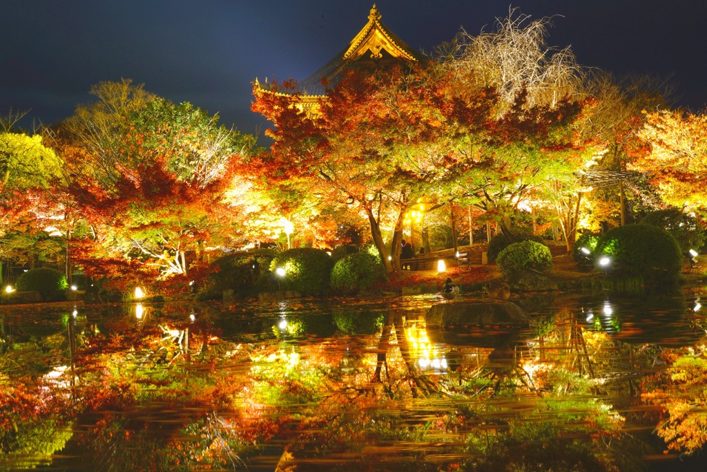 東寺 ライトアップ1