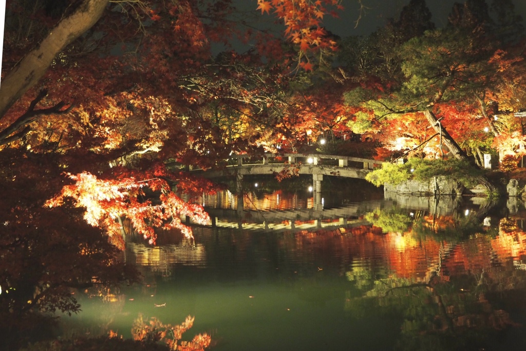 紅葉の永観堂