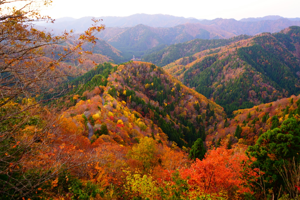 季節の峠