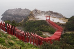 荒れる日本海に臨む鳥居
