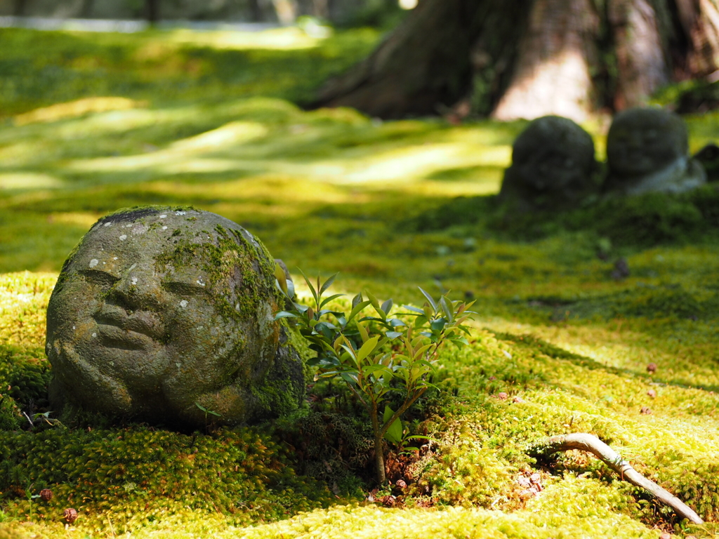 苔上のお地蔵様