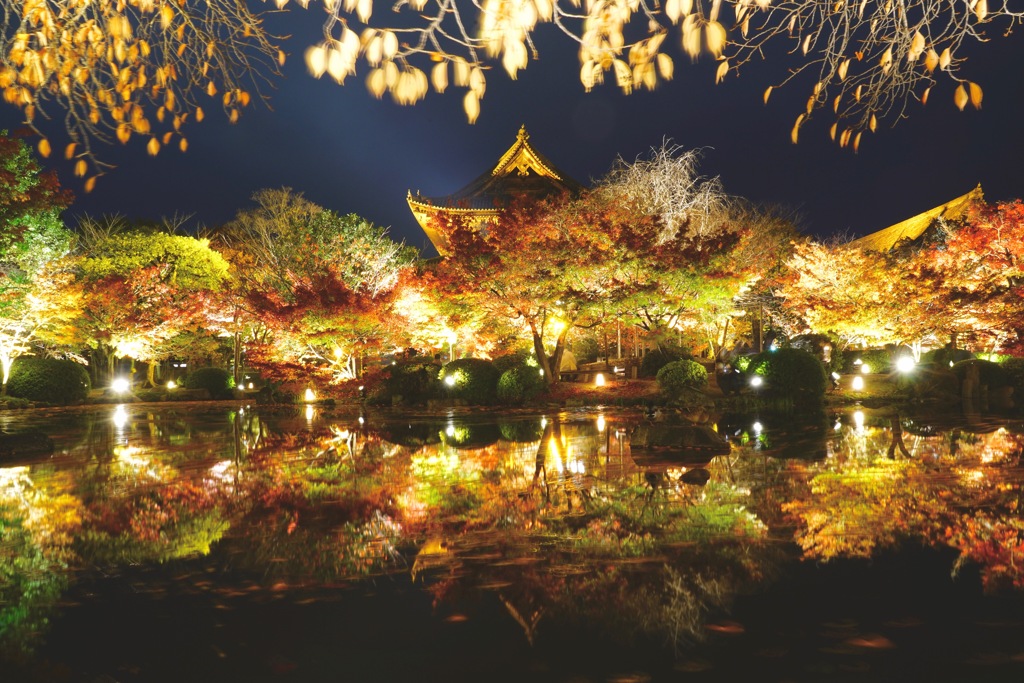 東寺 ライトアップ2