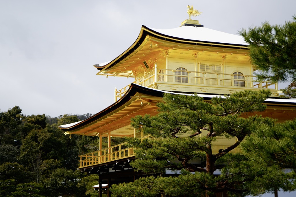 金閣寺 冠雪