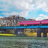 電車