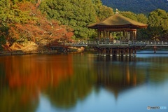 奈良　浮御堂