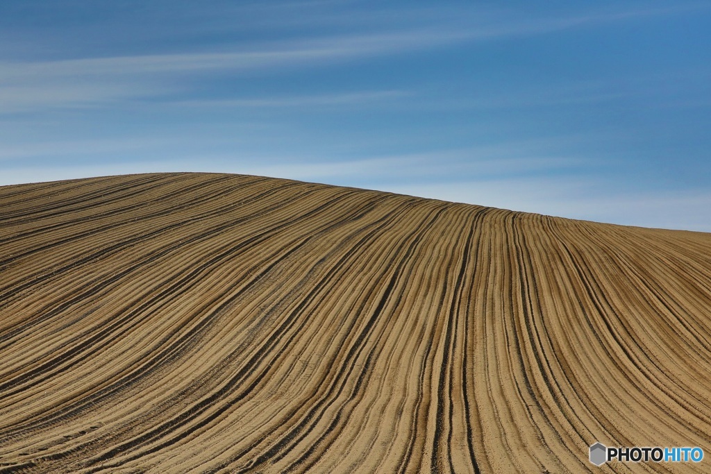 トラクターの足跡