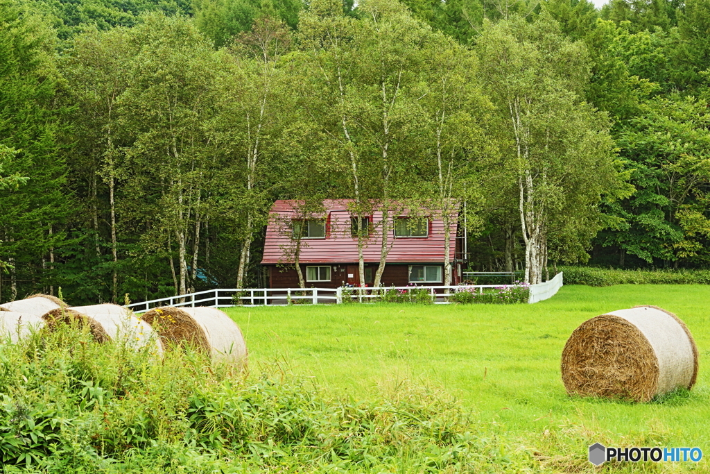 メルヘンチックな家
