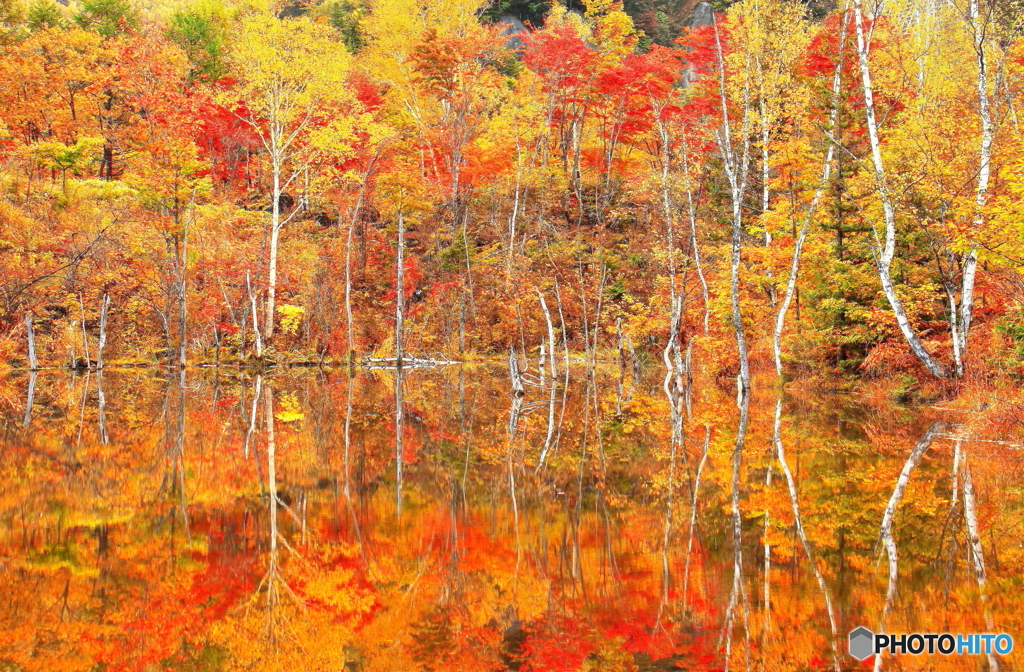 まいめの池の紅葉