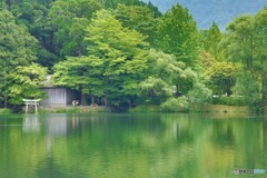 湯布院　新緑の金鱗湖
