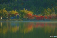 広沢の池