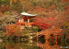 醍醐寺の紅葉