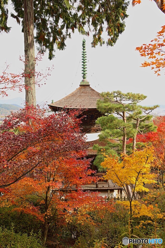 常寂光寺の紅葉