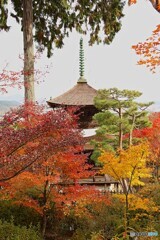 常寂光寺の紅葉