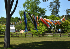 子供の日　イベント