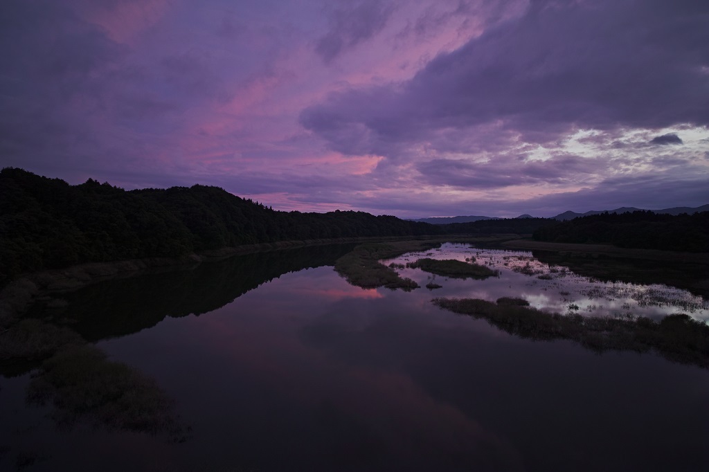 Violet hour