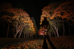 Big Shadow