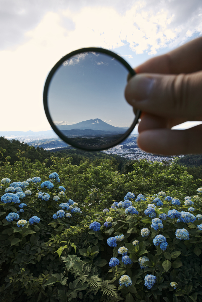 Iwate Blue