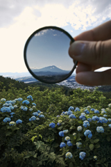 Iwate Blue