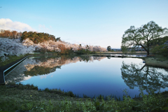 Reflection
