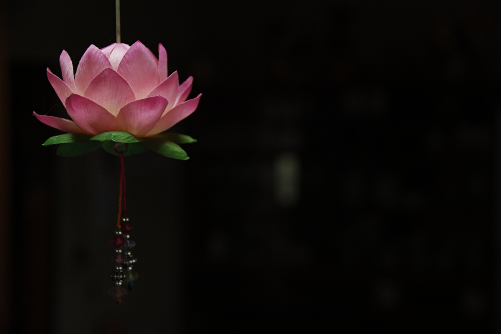 蓮灯
