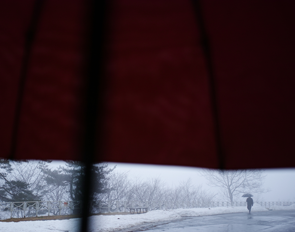 umbrellas