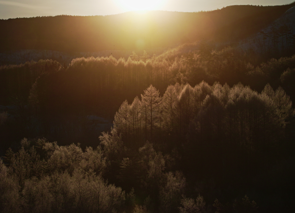 19 degrees below freezing